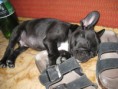 /album/fotogaleria/img-0756-2-jpg/